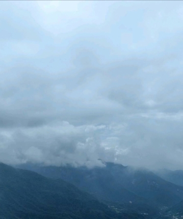 小生向南瞧的头像