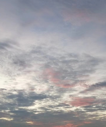 清新淡雅的头像