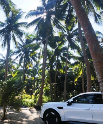 见习小生的头像