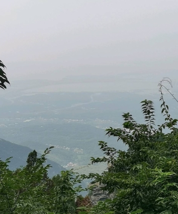 极速酷客路的头像