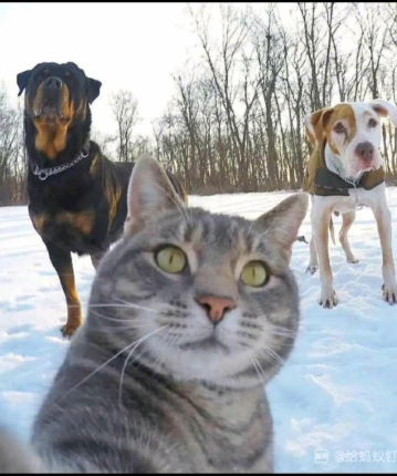 玩得开心就好的头像