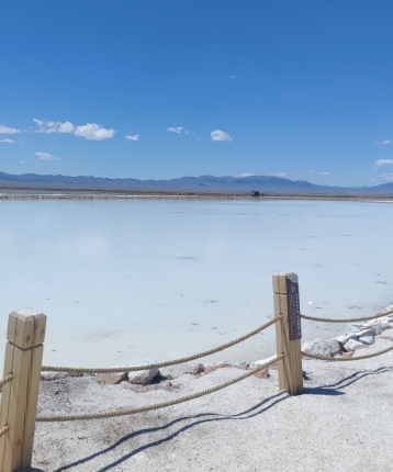 不倒翁先生的头像