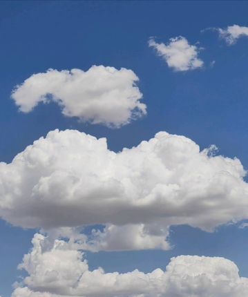 风止意难尽的头像