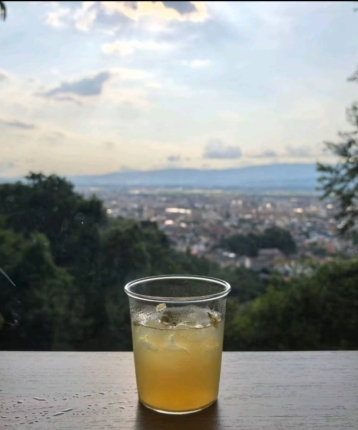 旅行的青蛙的头像