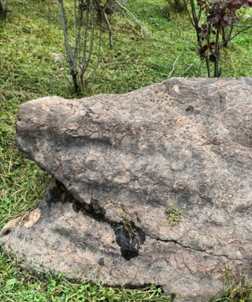 用户u62ssg的头像