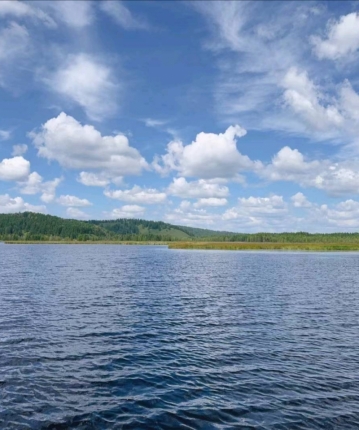 白鲸影业的头像