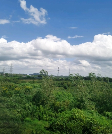 环球使者的头像