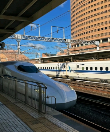 三十三间堂的头像