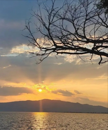 回不去的爱的头像