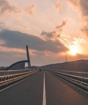 流浪的小奶狗的头像