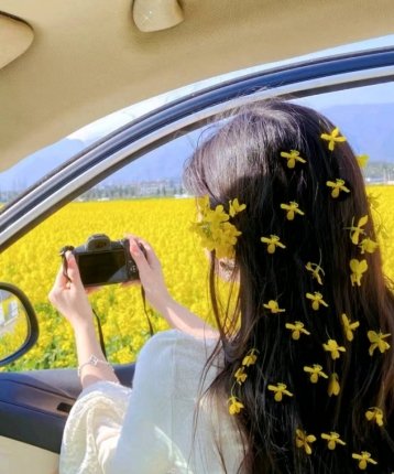 独留旧梦守空城的头像