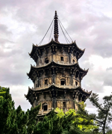 你的小哥哥的头像