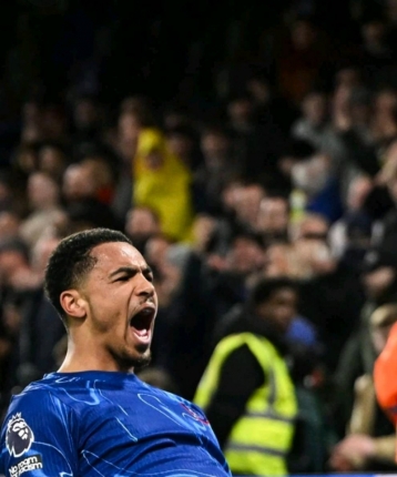 飞飞飞飞哥的头像