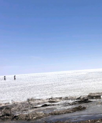 荒梧人情的头像