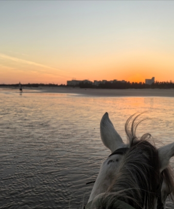 醒的人生的头像
