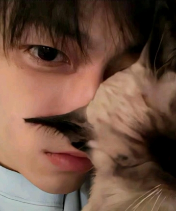 酷酷的小韩的头像