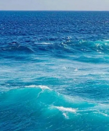 随缘Zx123的头像