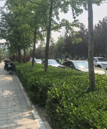 纯月的头像