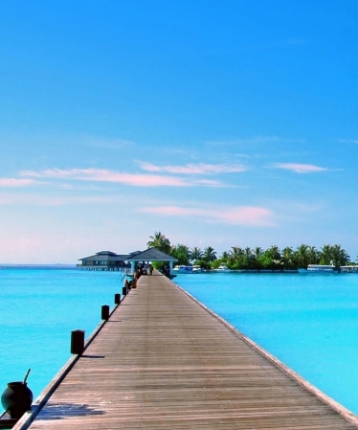 也许就是可能的头像