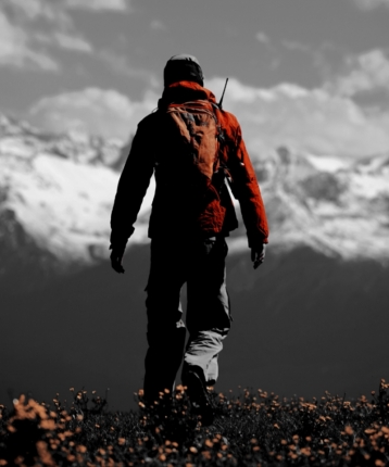 老张睡不醒的头像