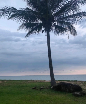 兜兜有糖ice的头像