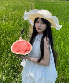 合肥伴游小羊不困照片
