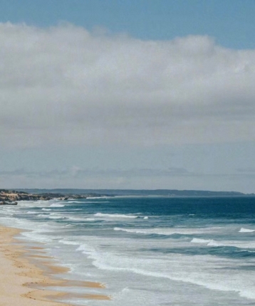 哈利爱吃辣的头像