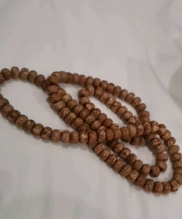 微尘坠落的头像