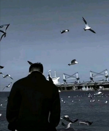 紫色天秤的头像