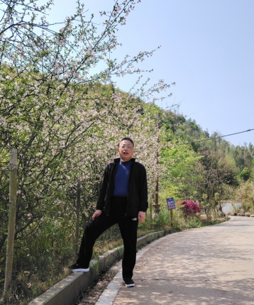 自由心境的头像