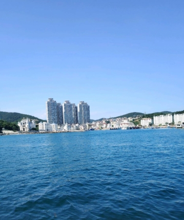 加勒比海摸会鱼的头像