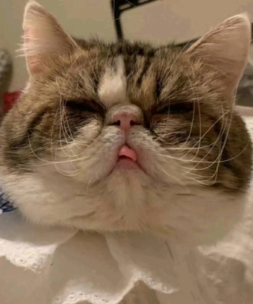 超牛战士的头像