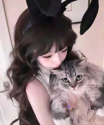百合宝宝的头像