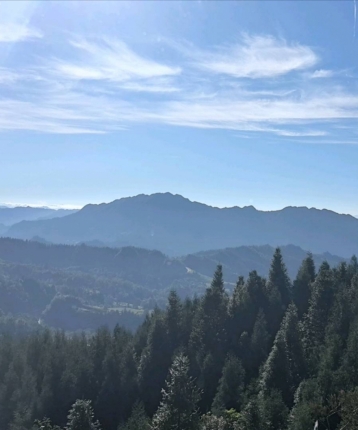 江南烟雨楼台中的头像