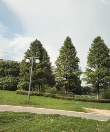 真人娱乐的头像