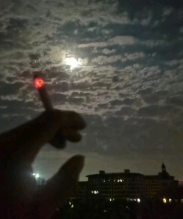 闻闻的头像