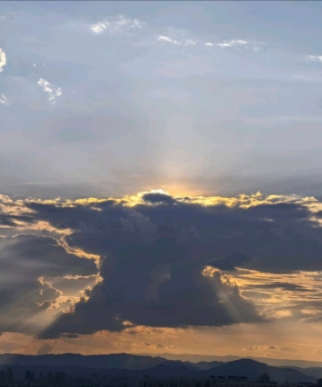 大大方方的鱼的头像