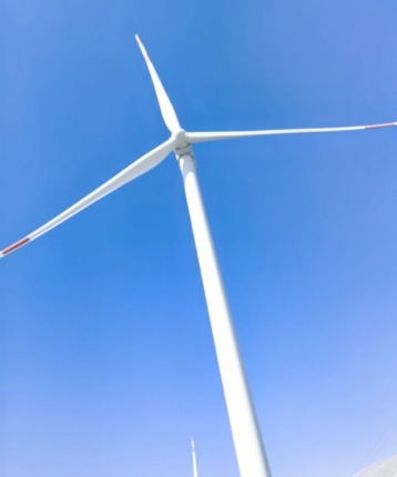 新鲜空气的头像