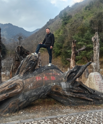 YLH的头像
