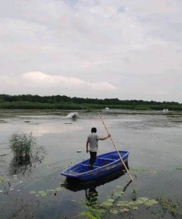 有一个月亮的头像