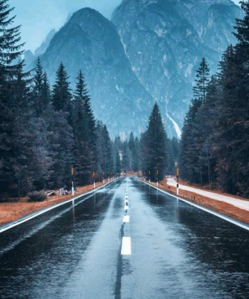 烟雨凉城的头像