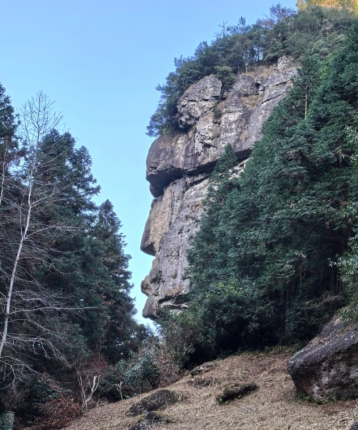 清清苹果香的头像