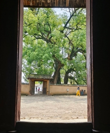 岁月如诗的头像