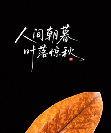 一节老姜的头像