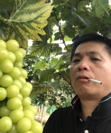 东莞钟生的头像