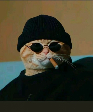 担保贷款的头像