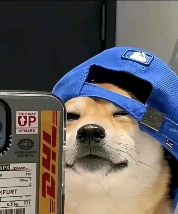 一念清风的头像