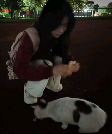 爱生活的妮妮的头像