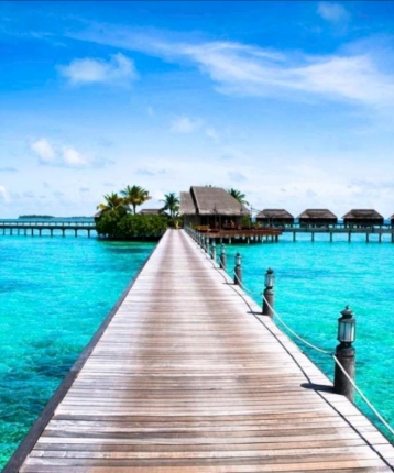 这个大叔不太冷的头像