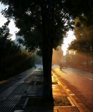 小特1004的头像
